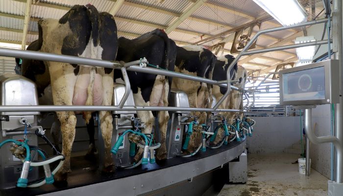  Cenário atual projeta aumento na remuneração do leite no Paraná, aponta Deral 